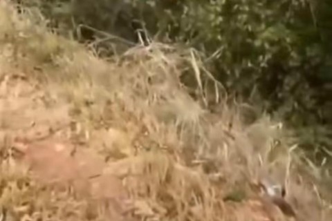 Carro despenca em abismo após colisão com ônibus na Chapada do Araripe Crato-CE