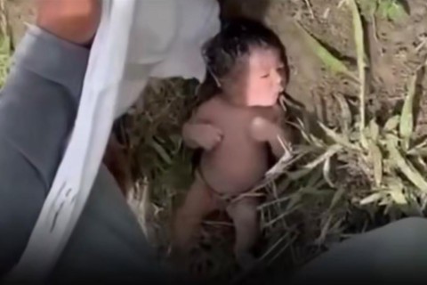 Tristeza: Bebê recém-nascida é encontrada abandonada