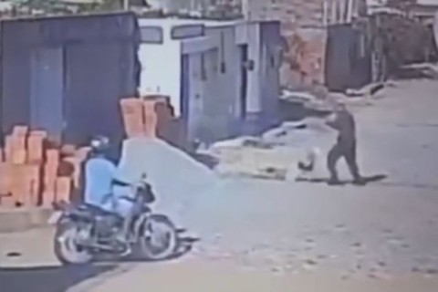 Policial atira e mata pitbull que atacou poodle de estimação no Ceará