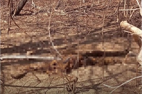 Cadáver é encontrado na zona rural da cidade de Itatira no Ceará