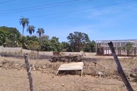 Homem foge de ataque de abelhas e morre atropelado em estrada no Ceará