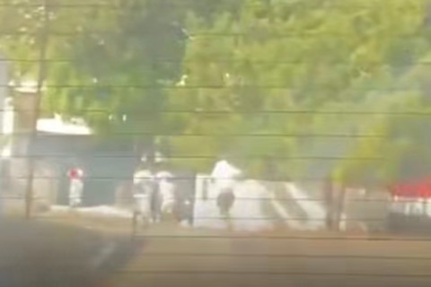 Ataque de abelhas na Barra do Ceará