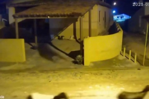 Rebanho de ovelhas furtado é recuperado no Distrito de São Miguel em Quixeramobim-CE