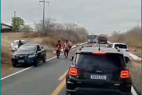 Veículo colide e mata ao menos cinco vacas que estavam na CE-183 entre Jaibaras e Cariré no Ceará