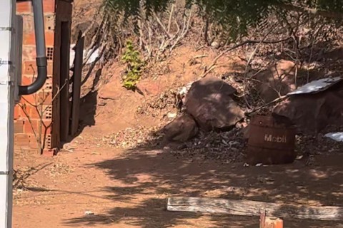 Homem é morto a pauladas no Trapiá, zona rural de Sobral-CE