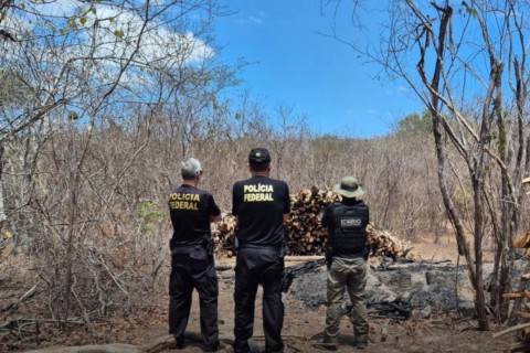 Polícia Federal e ICMBio aplicam mais de R$ 1 milhão em multas por crimes ambientais